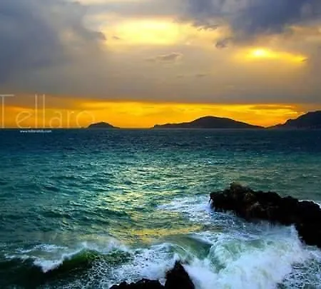 招待所 Il Quadrifoglio 4*